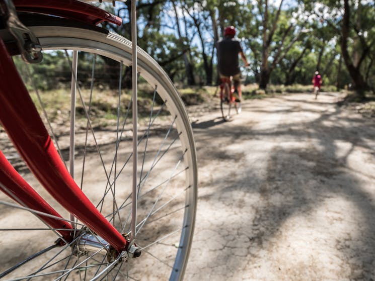 Hire a bike for the Beach to Beach Trail