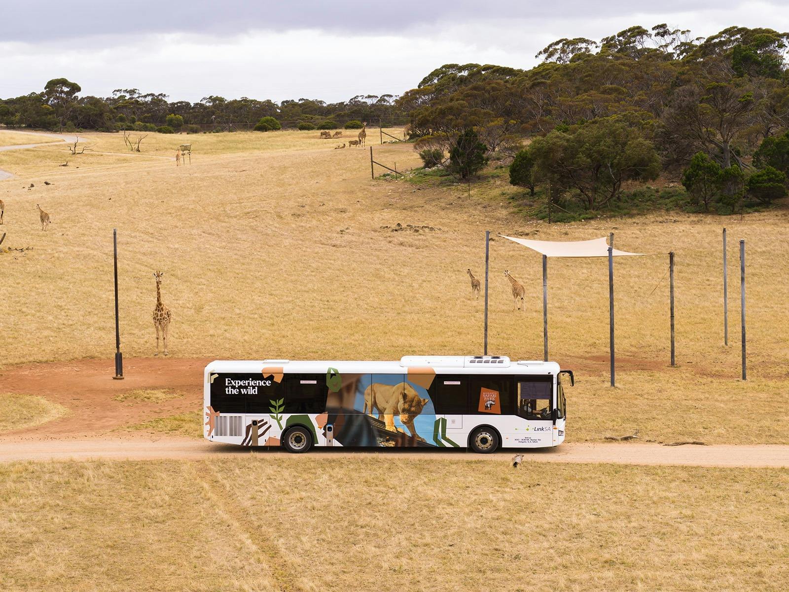 Zu-loop Bus driving through the park