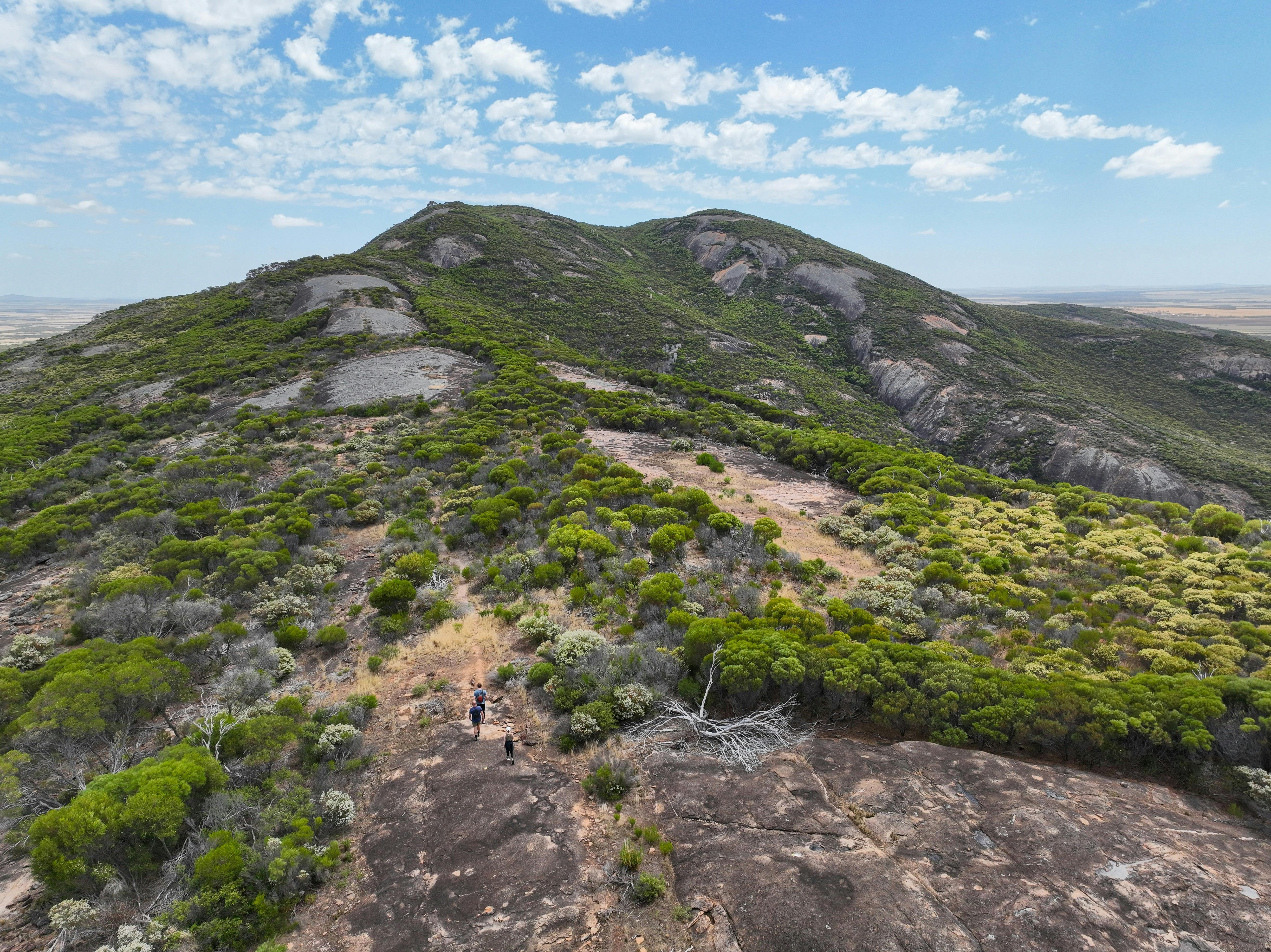 Carappee Hill Conservation Park Hiking Trail