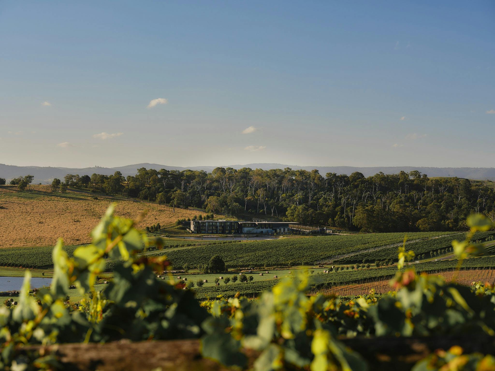 Views at Helen and Joey Estate