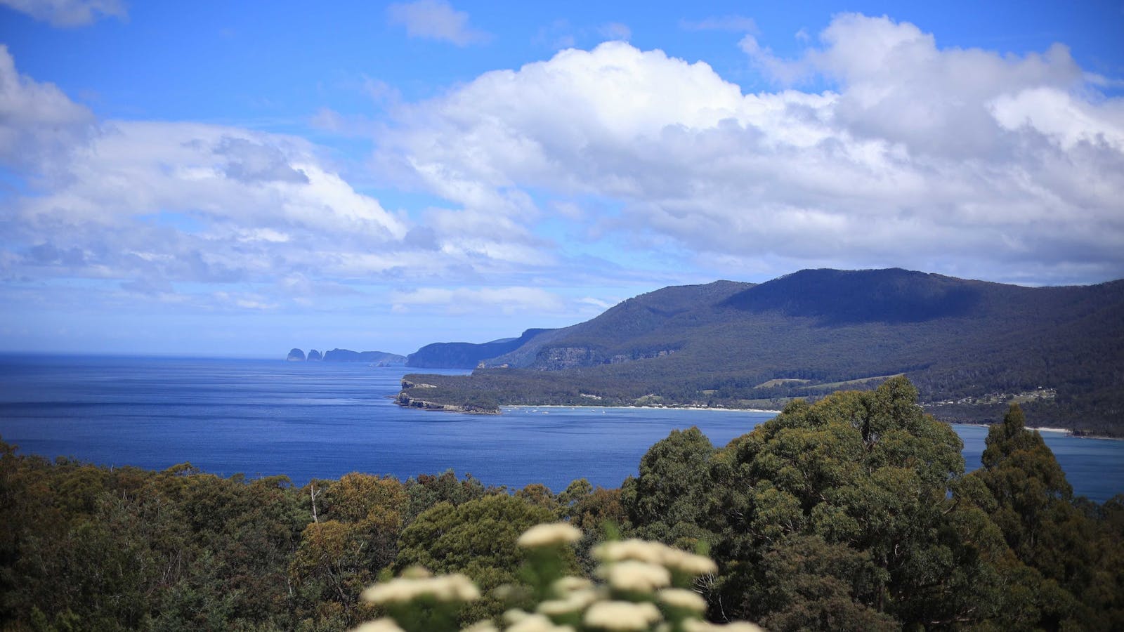 Tasman Bay Lookout