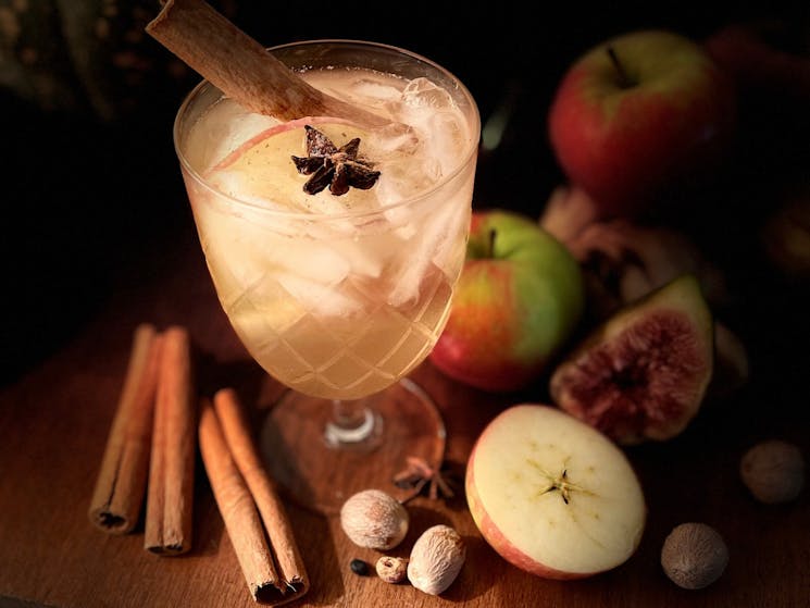 Apple Gin and Dry Gingerale