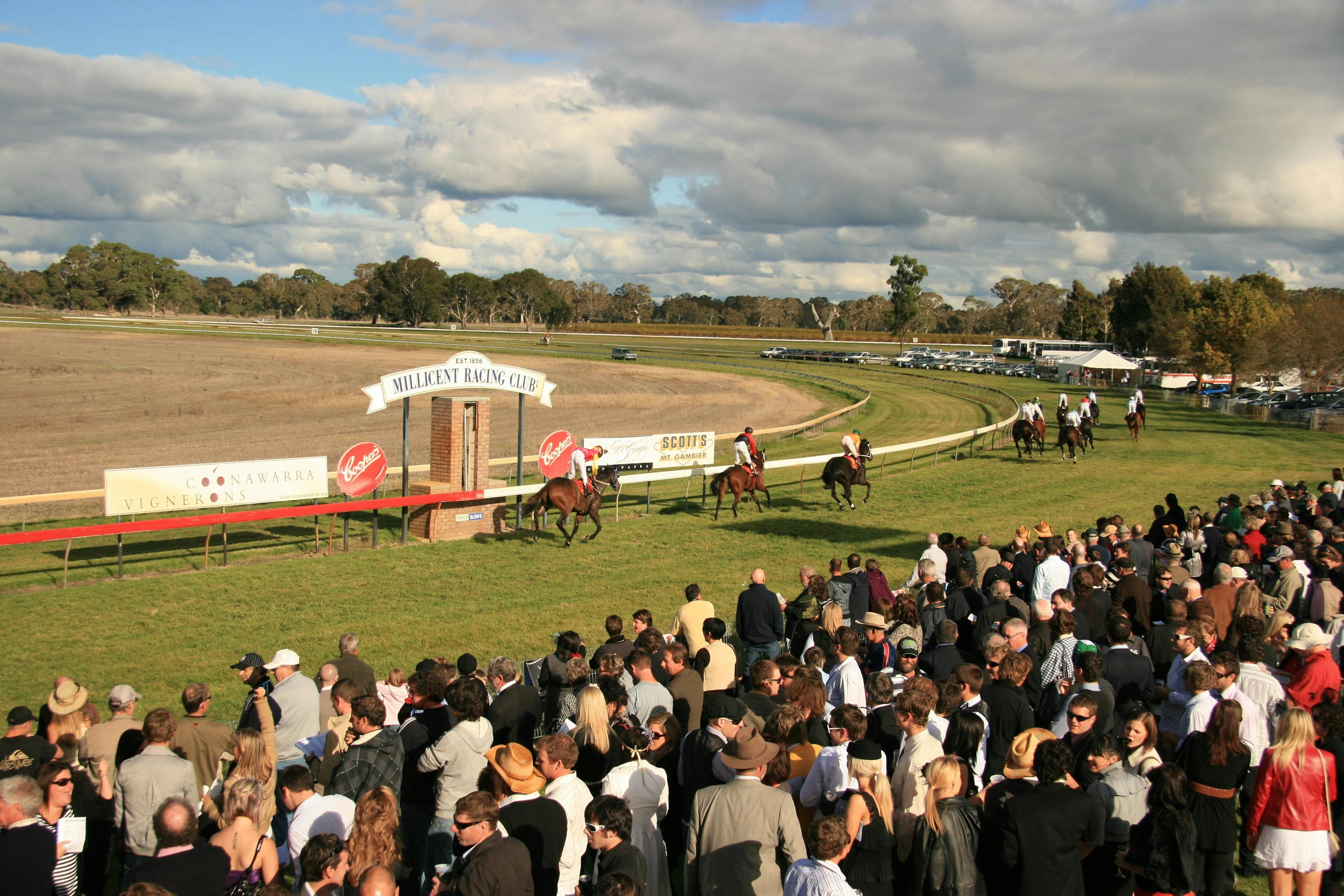 DiGiorgio Family Wines Penola Cup