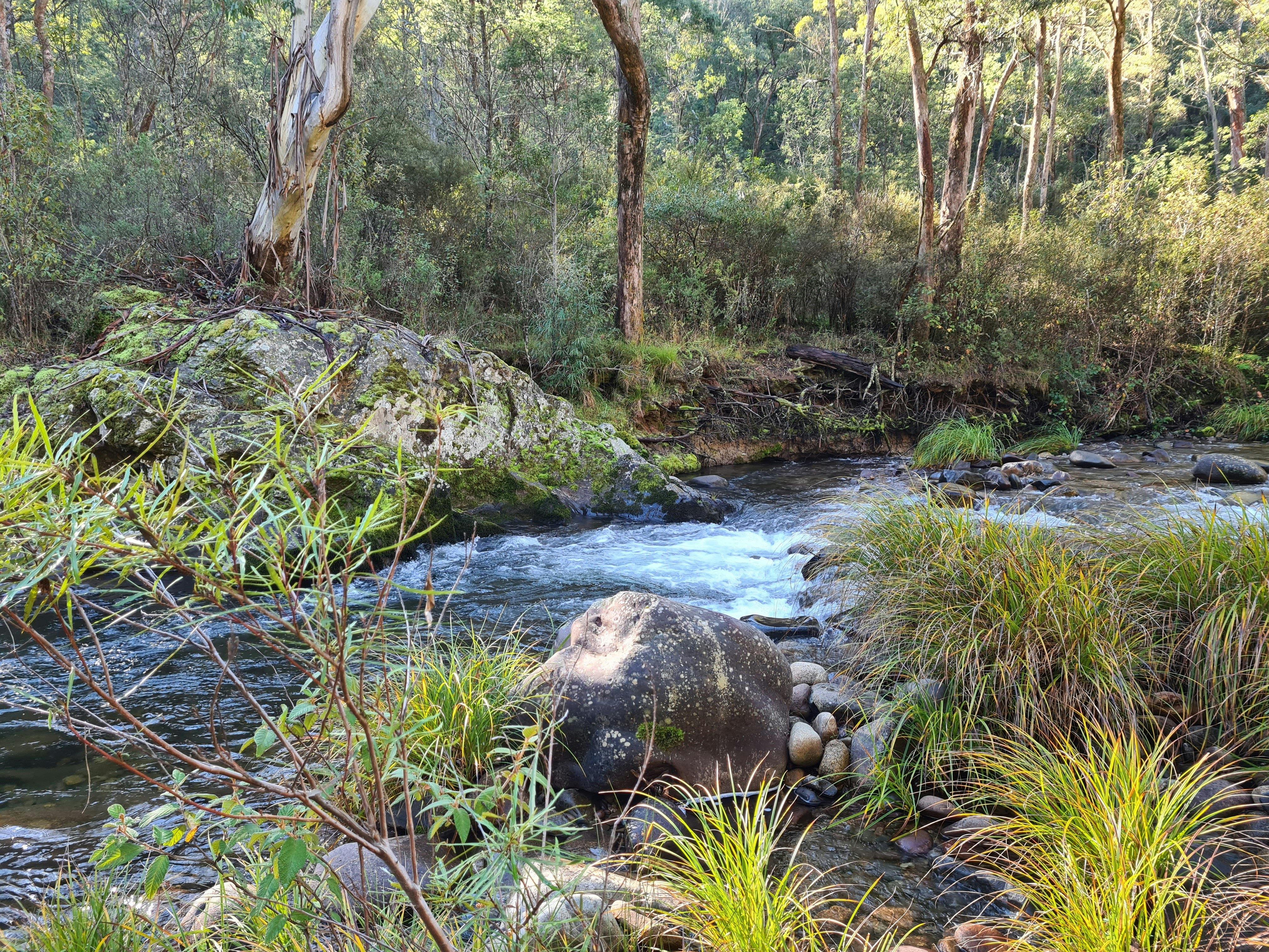 Hiking along the Howqua River.