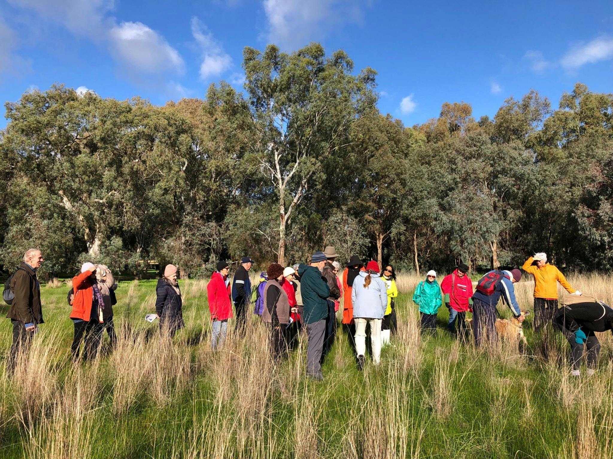 Adelaide Park Lands Preservation Association, Inc (APPA)