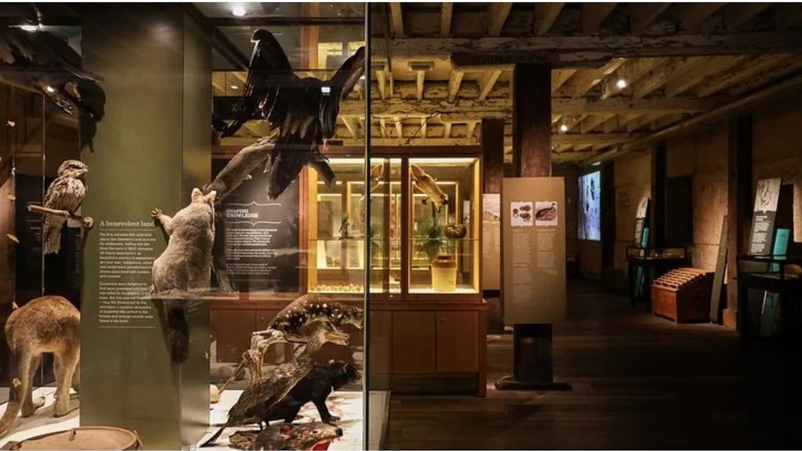 Free audience tickets to a new ABC Comedy TV Show... Set in a Museum