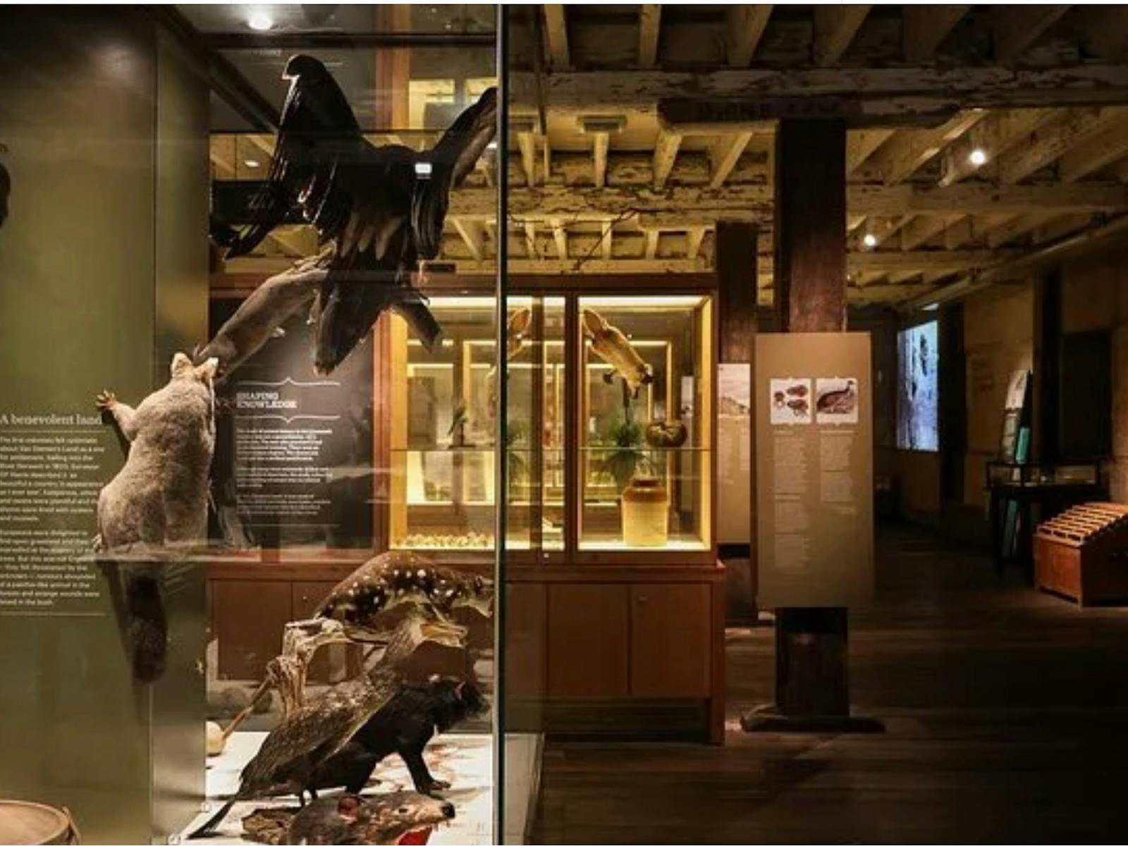 Tasmanian Museum & Art Gallery