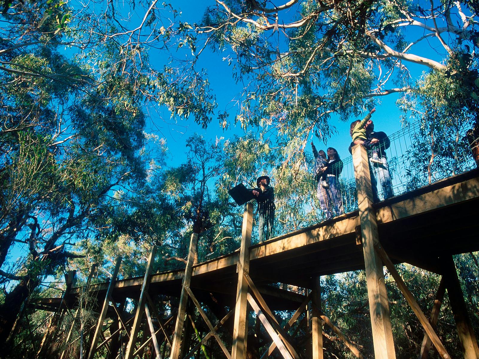 Koala Conservation Reserve