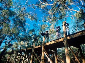 Elevated Boardwalks