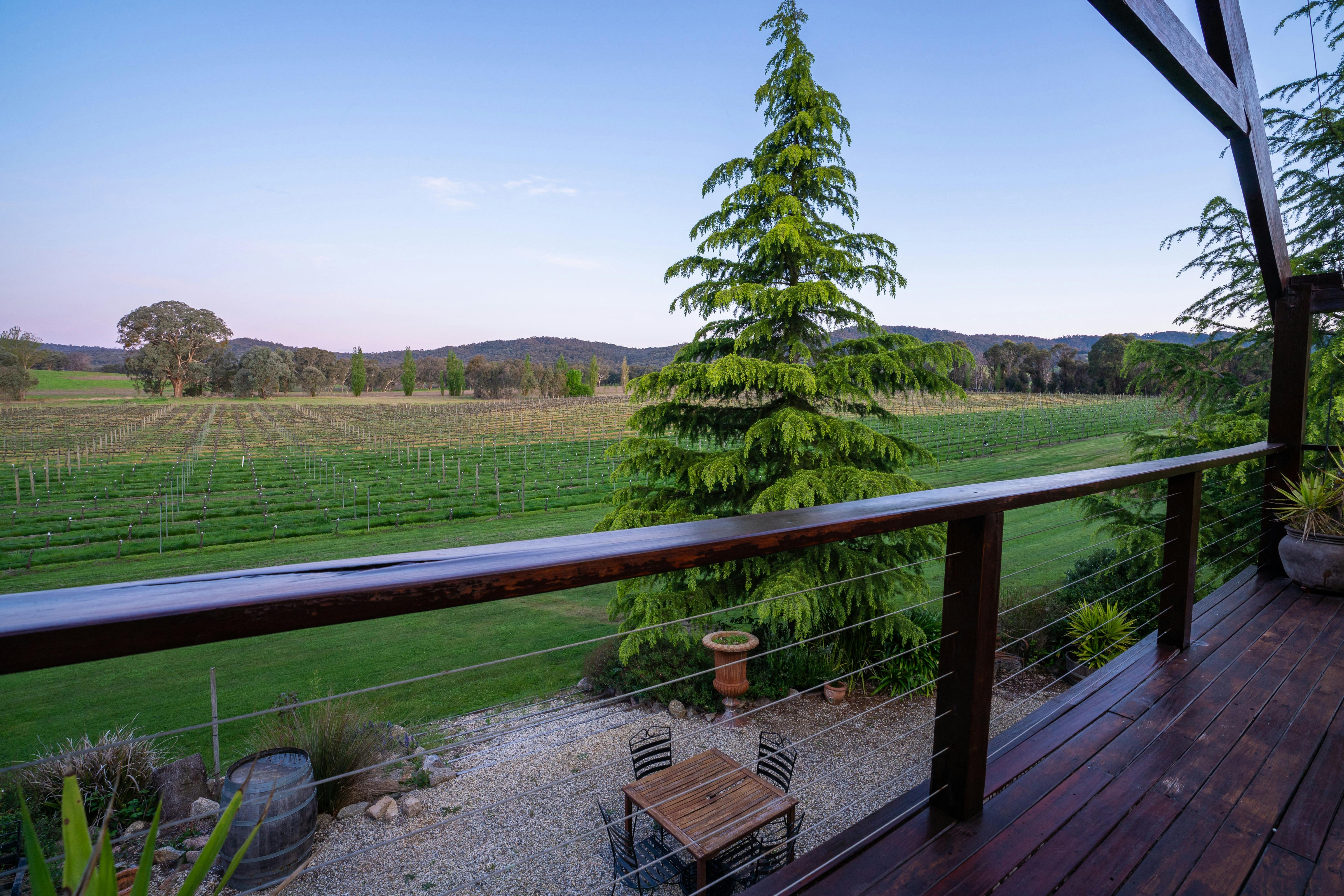 A view from the balcony of Star Lane's cellar door in Beechworth with a view to the vineyard