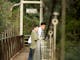 On the suspension bridge at Yea Wetlands