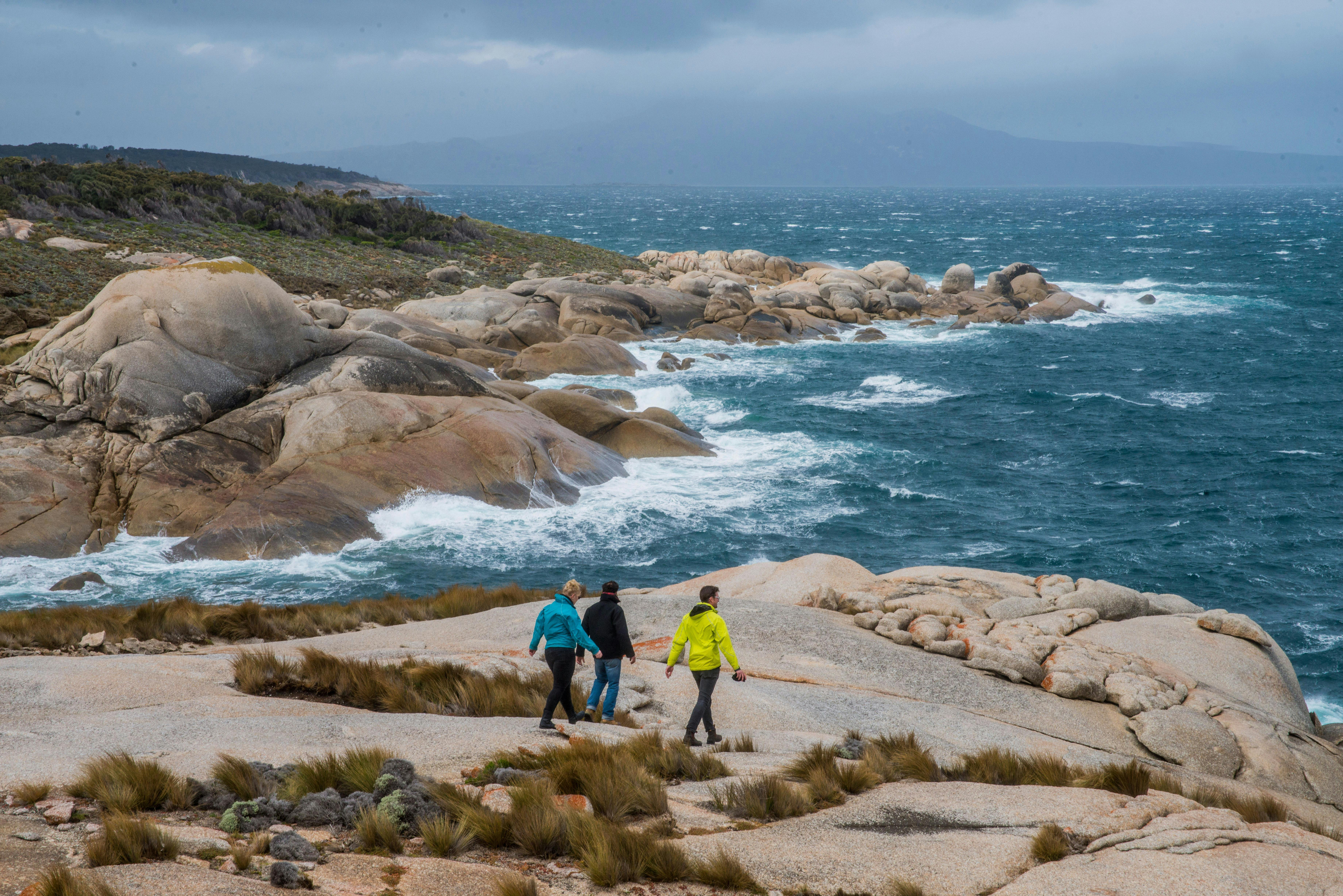 Strzelecki National Park