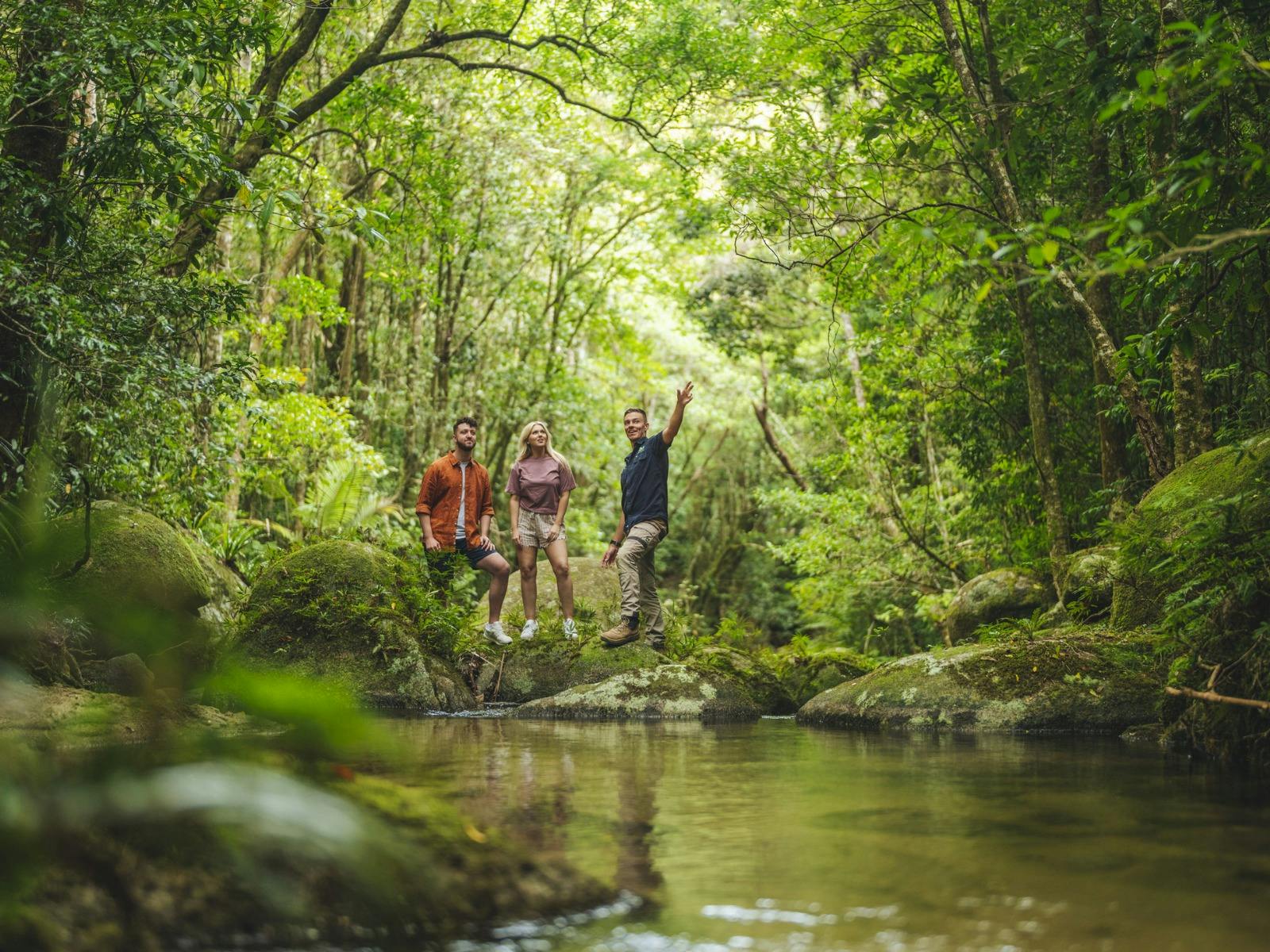 A couple enjoy a Daintree Rainforest walk in FNQ