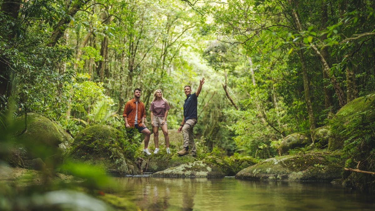 A couple enjoy a Daintree Rainforest walk in FNQ