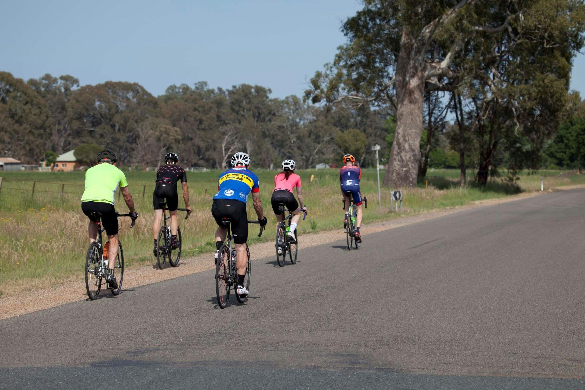 Five cyclists riding on a road, grass, large gum tree, farmland, farmhouse in distance