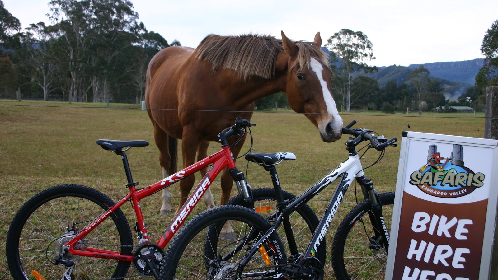 Kangaroo Valley Safaris kayak and Canoe Hire