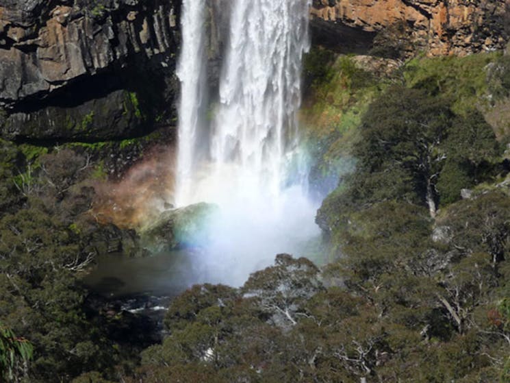 Ebor Falls Lookout, Guy Fawkes River National Park. Photo: Barbara Webster/NSW Government