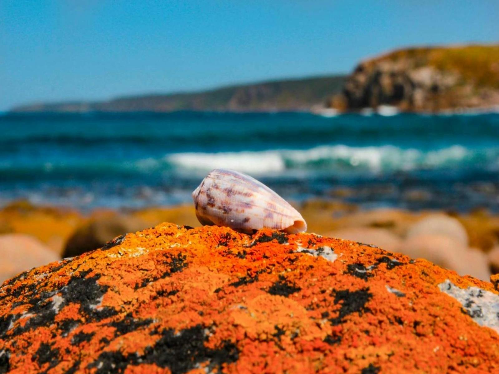 Adventure Art Photography