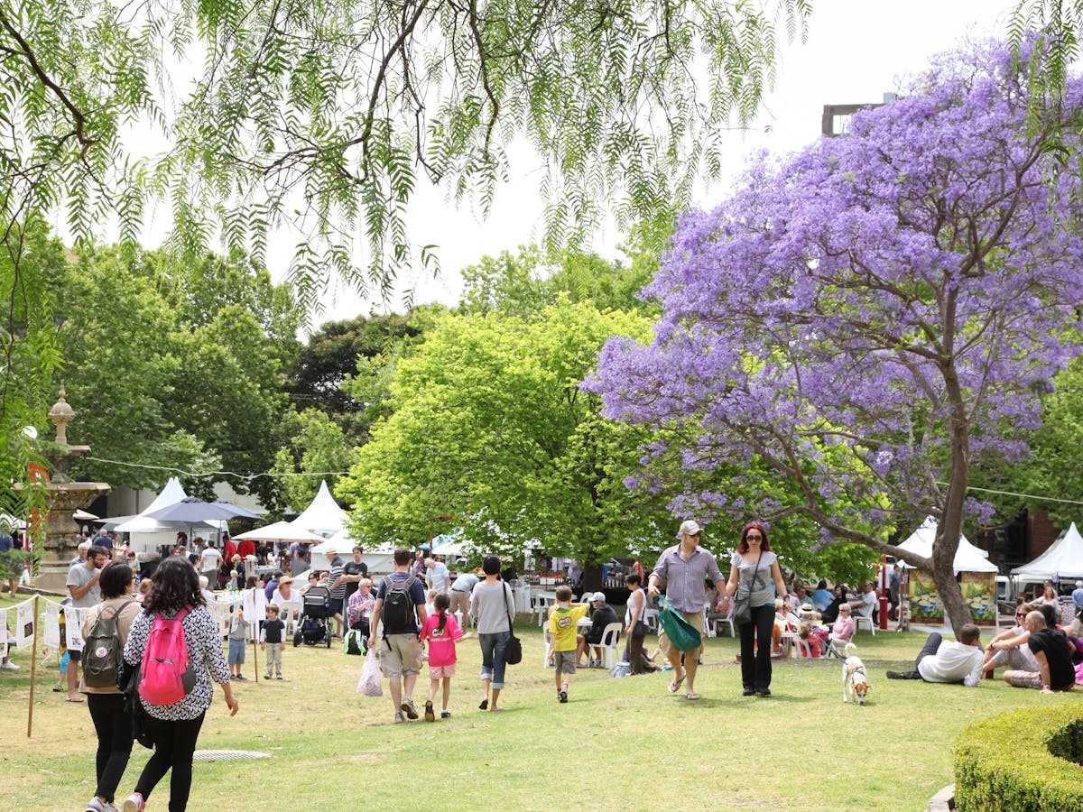 泰德麥克市民公園