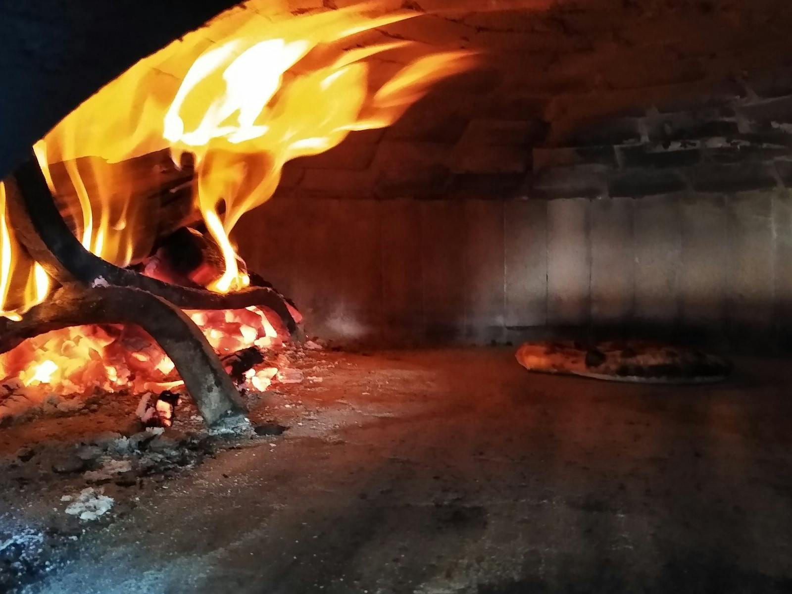 Toasty wood fired oven