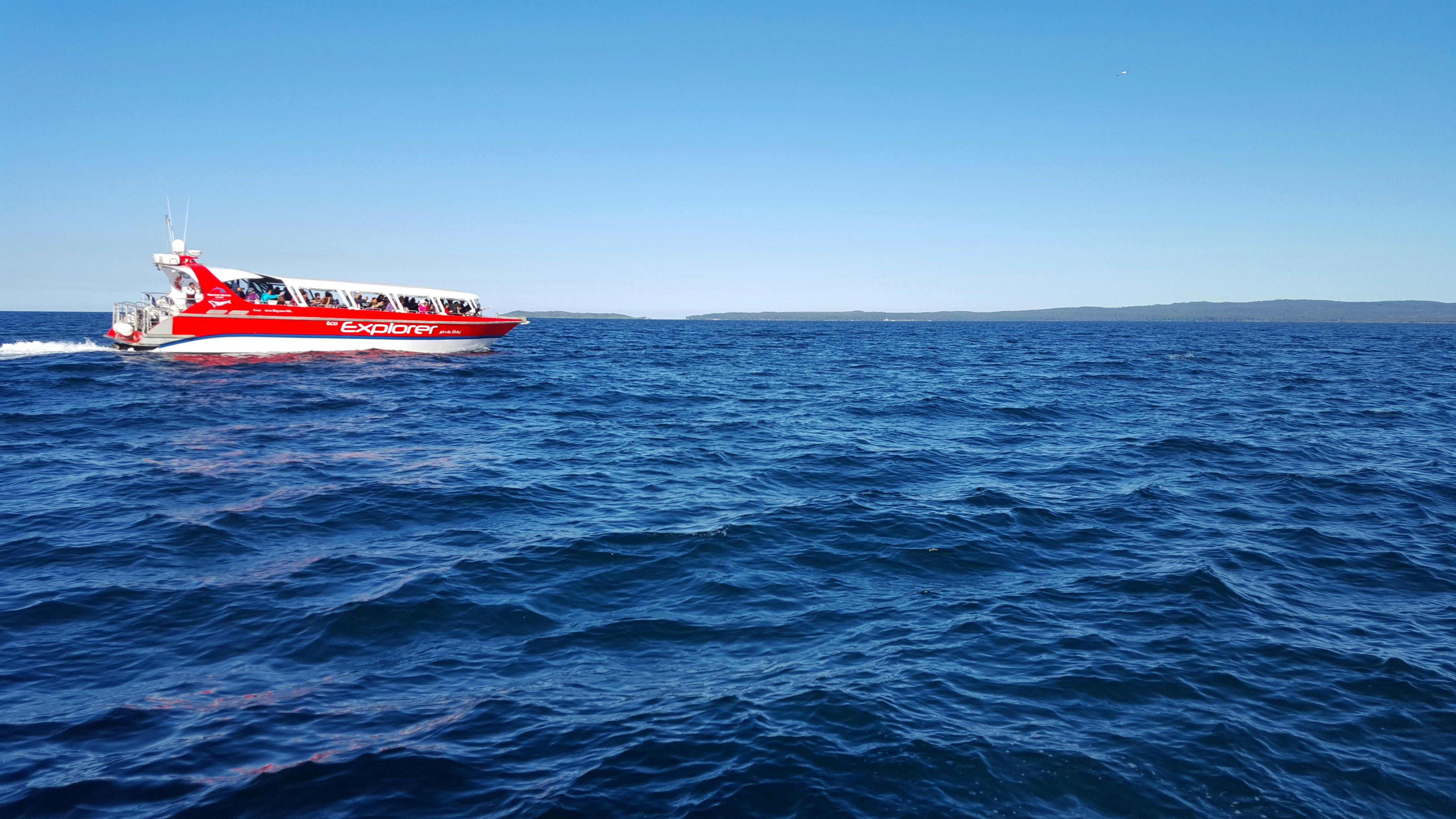 The cruise speed boat