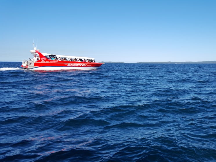 The cruise speed boat