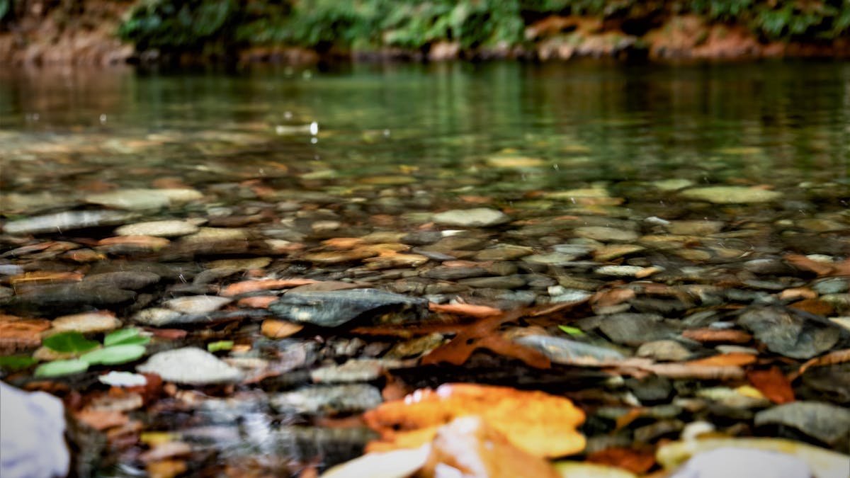 Mountain fed water hole