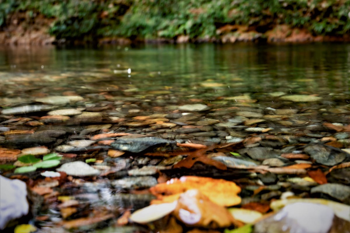 Mountain fed water hole