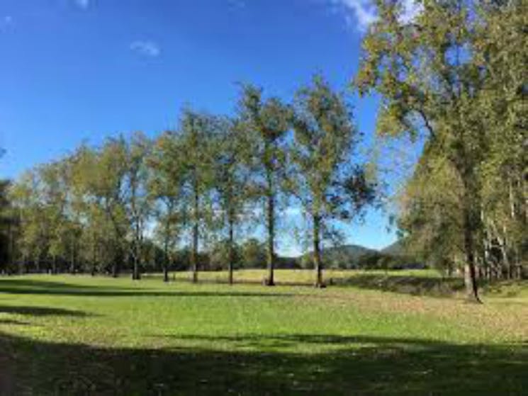 Williams River Holiday Park NSW Holidays & Things to