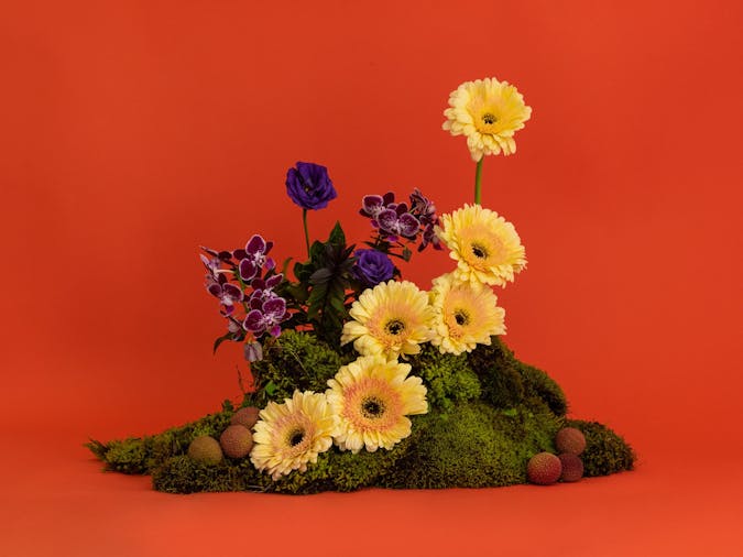 Barossa Contemporary Festival for the Curious Preview