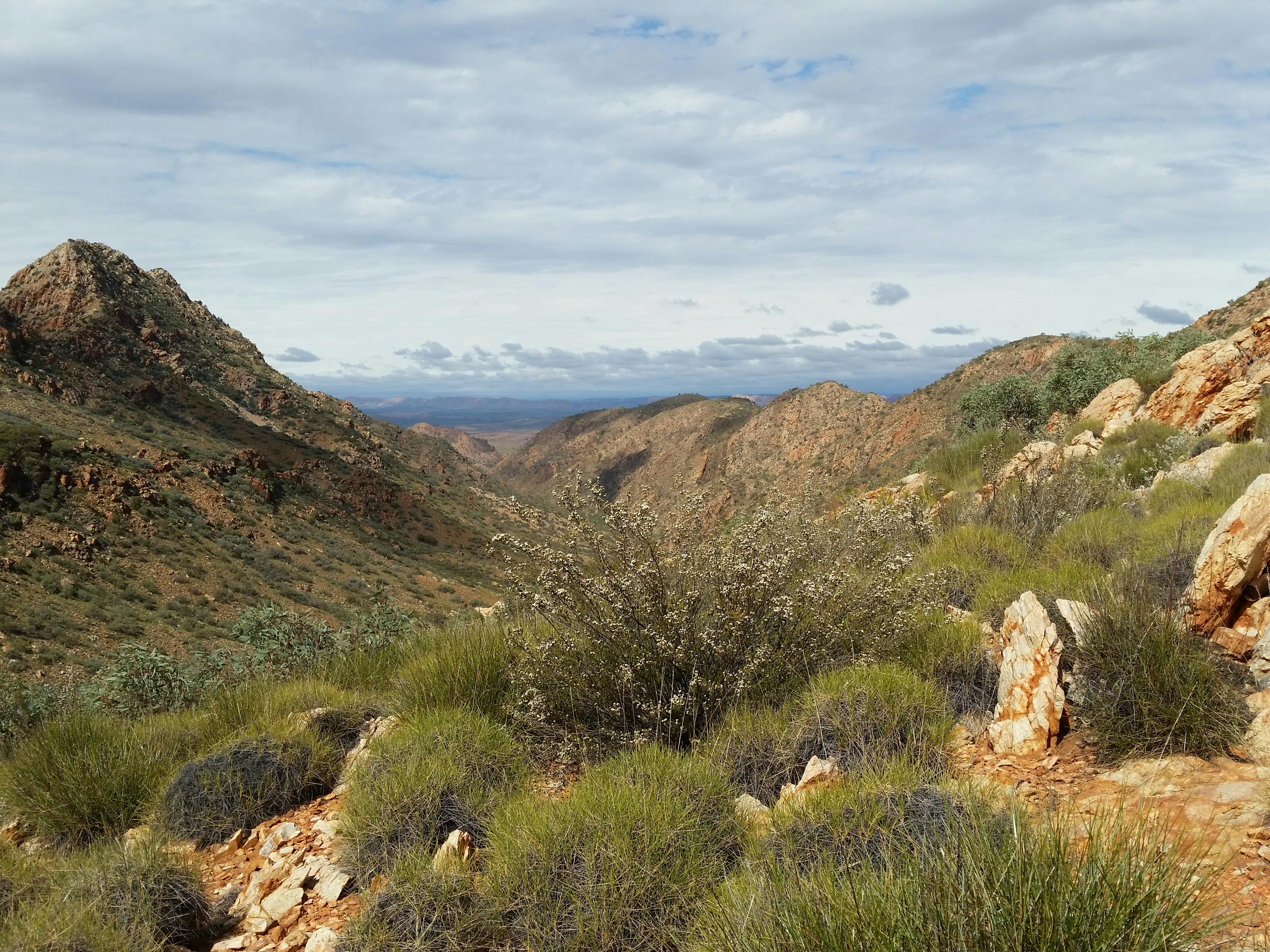 Larapinta Trail