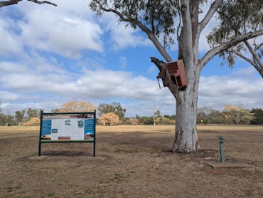 Piano in a Tree - Clermont