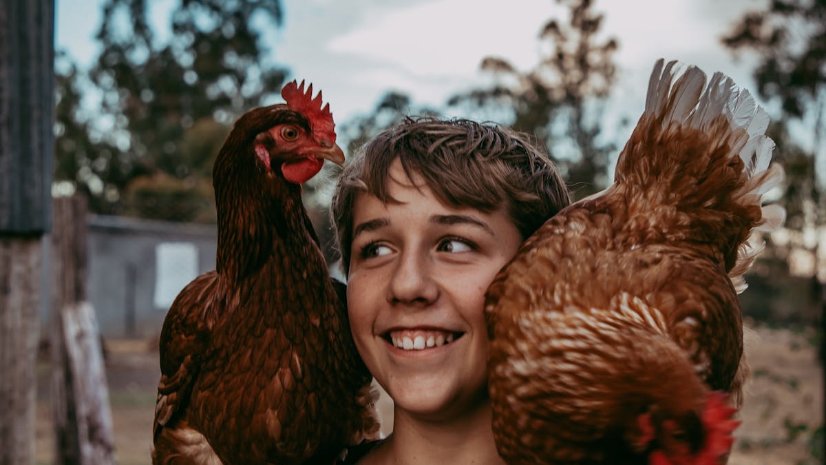 friendly chicken farm experience