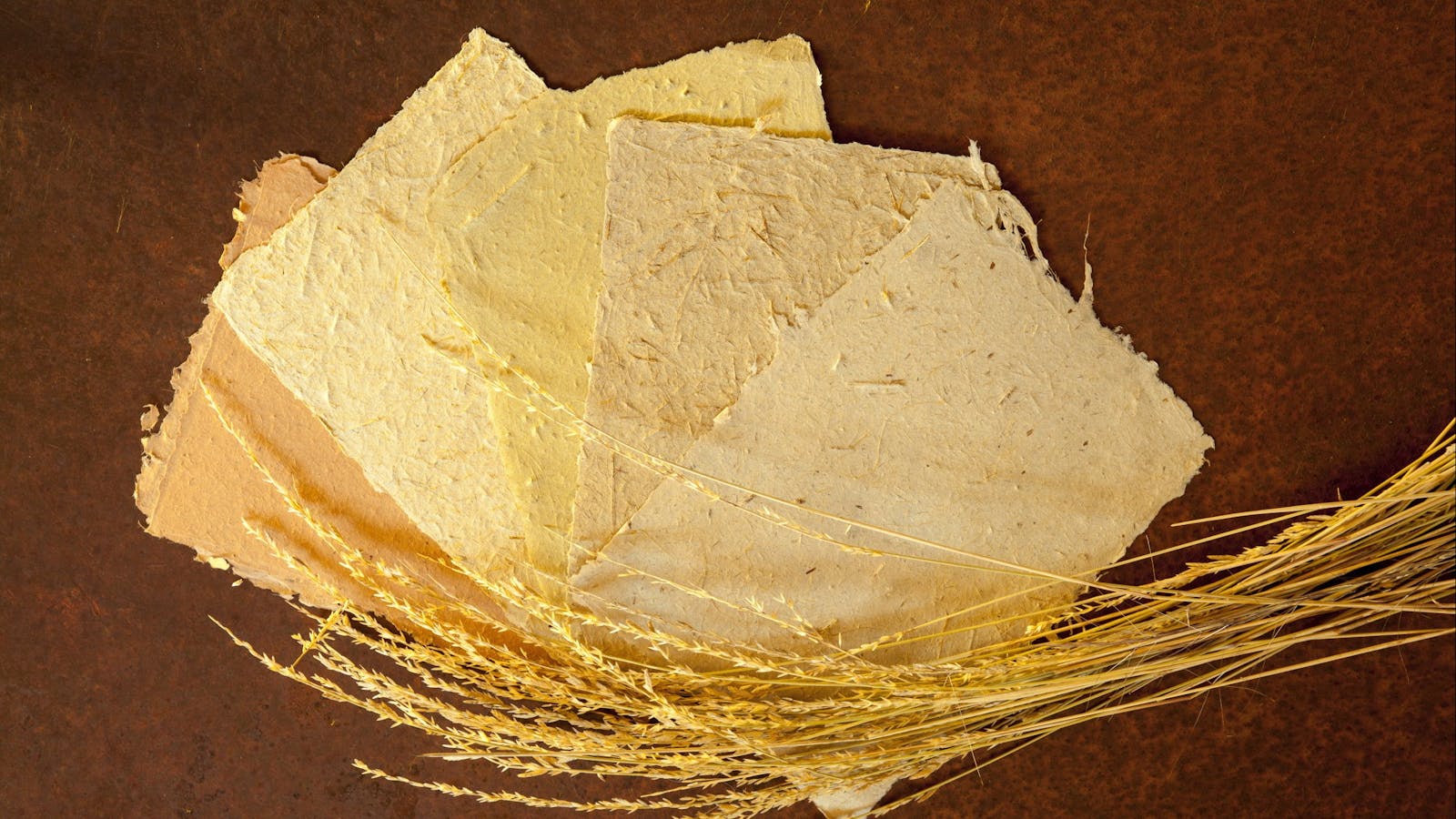 Curtin Springs Paper
