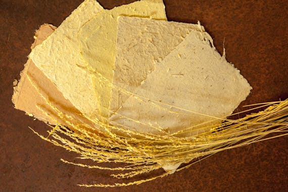 Curtin Springs Paper