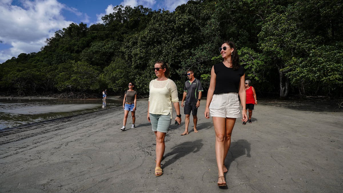 Cape Tribulation Beach Walk - Daintree Discovery Tours