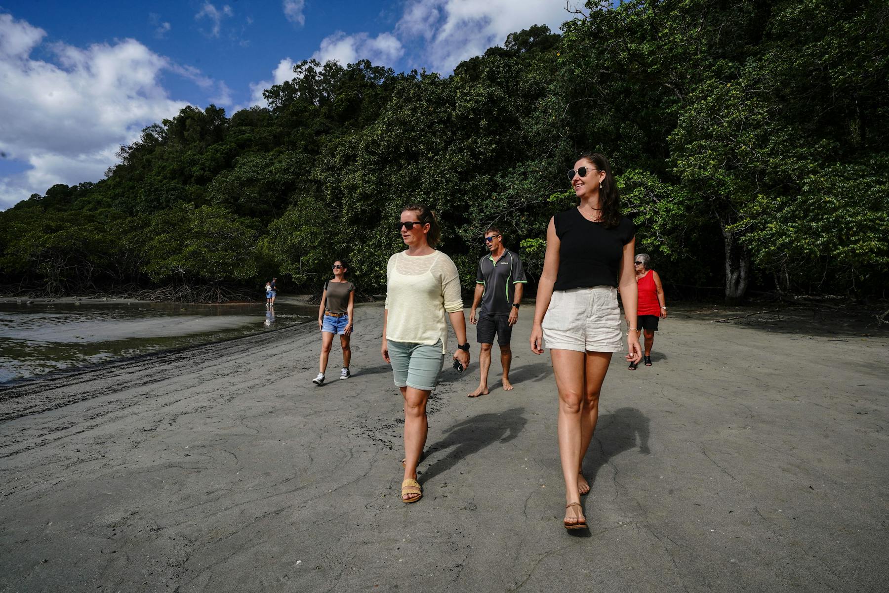 Cape Tribulation Beach Walk - Daintree Discovery Tours