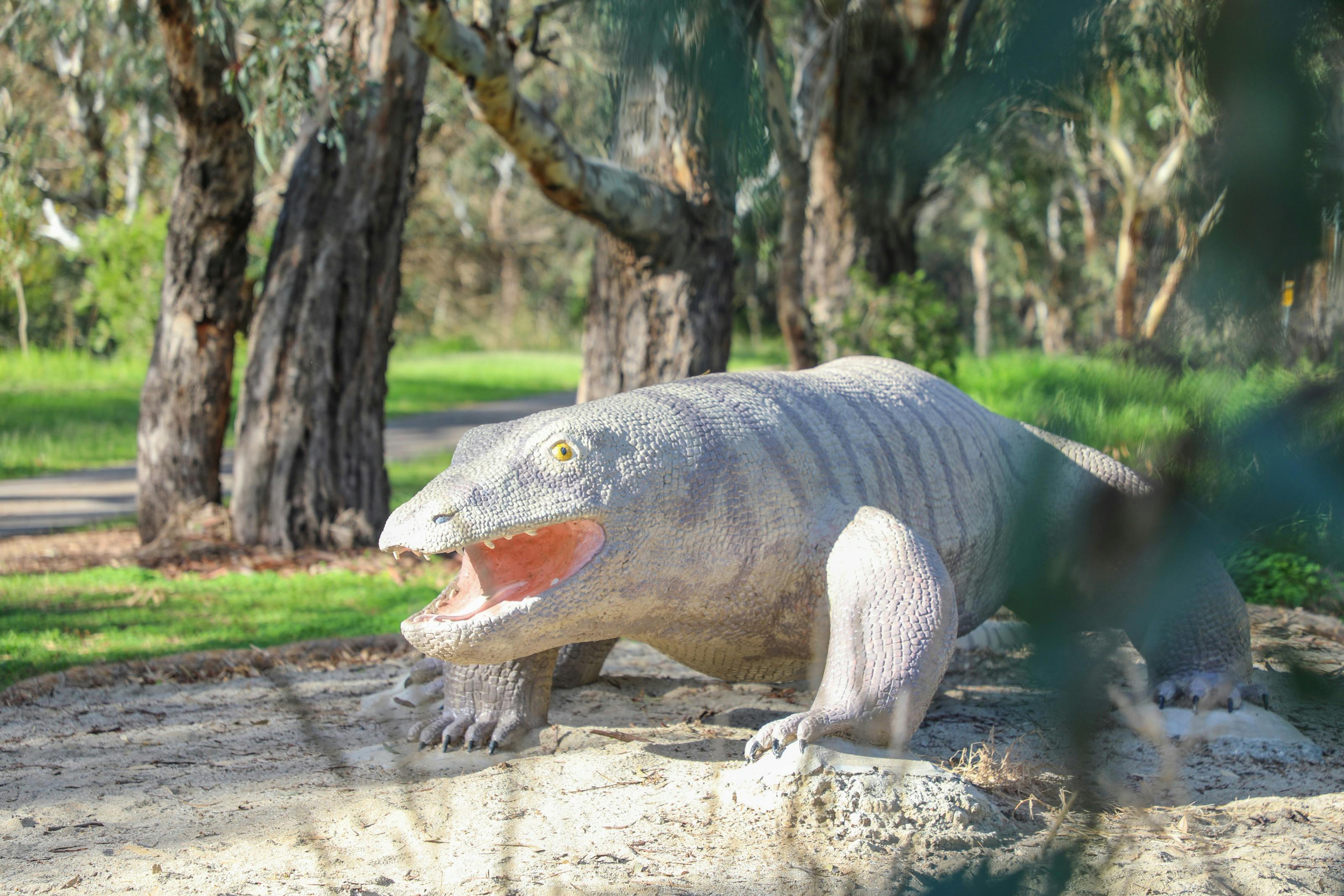 Giant Monitor Lizard - "Kev"