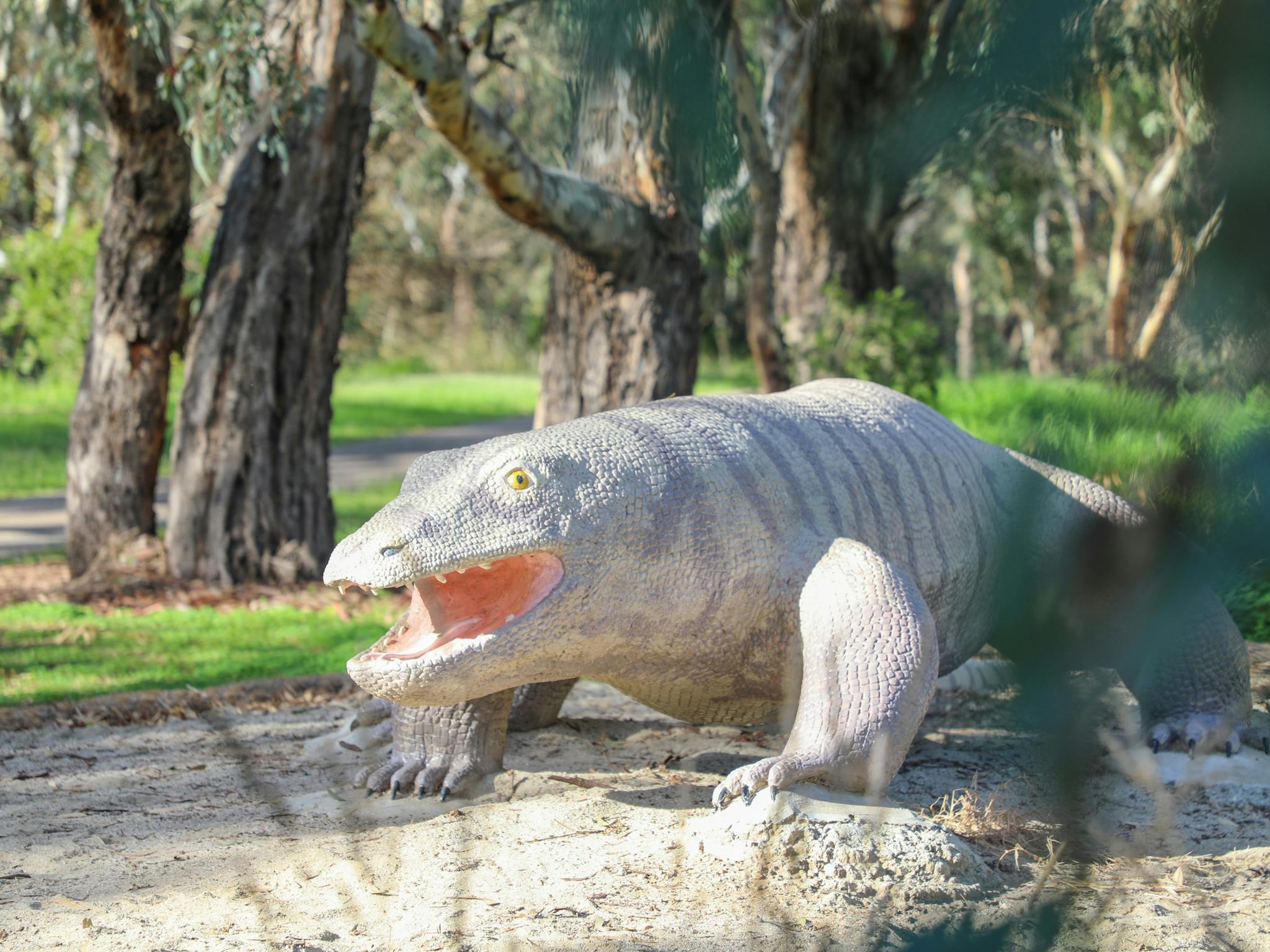 Giant Monitor Lizard - "Kev"
