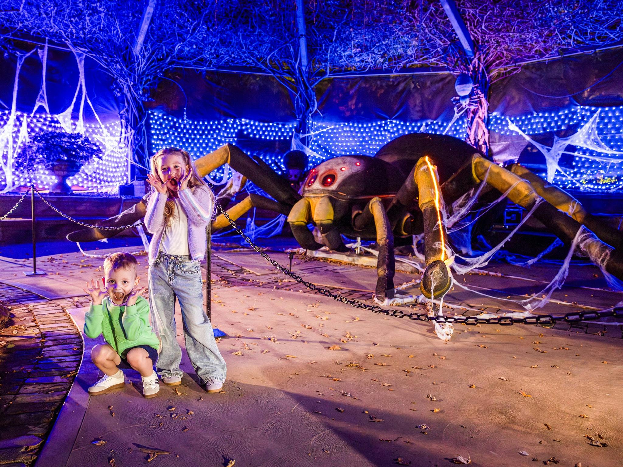 Mega Creatures Night Safari