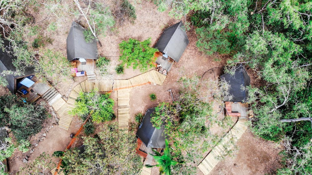 Bungalow Bay Koala Village