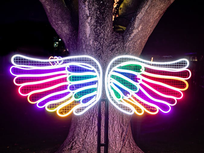 Illuminate Adelaide in Mount Gambier Digital Garden