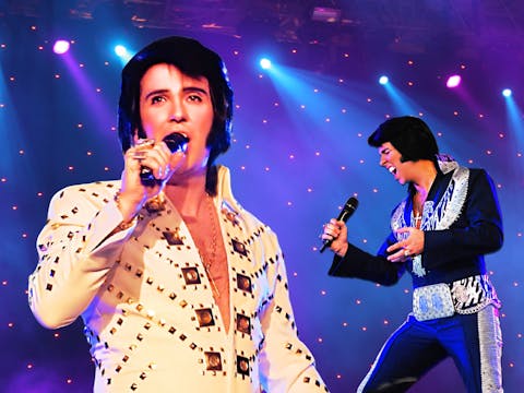 Whalebone 49 ec4121bd76a00ccb08422c7d20df6ffd