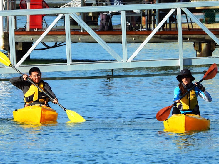 Free Learn to Kayak Lessons