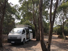 Free camping permitted in Tasmania