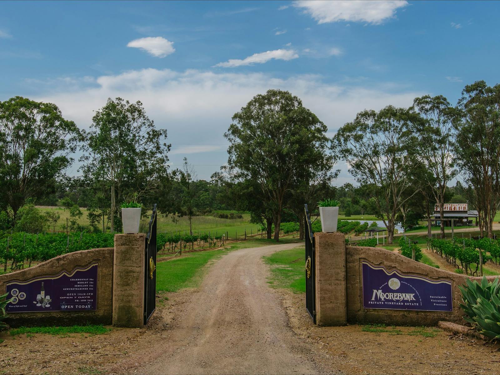 Moorebank Vineyard