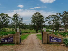 Moorebank Vineyard