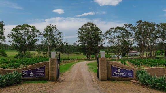 Moorebank Vineyard