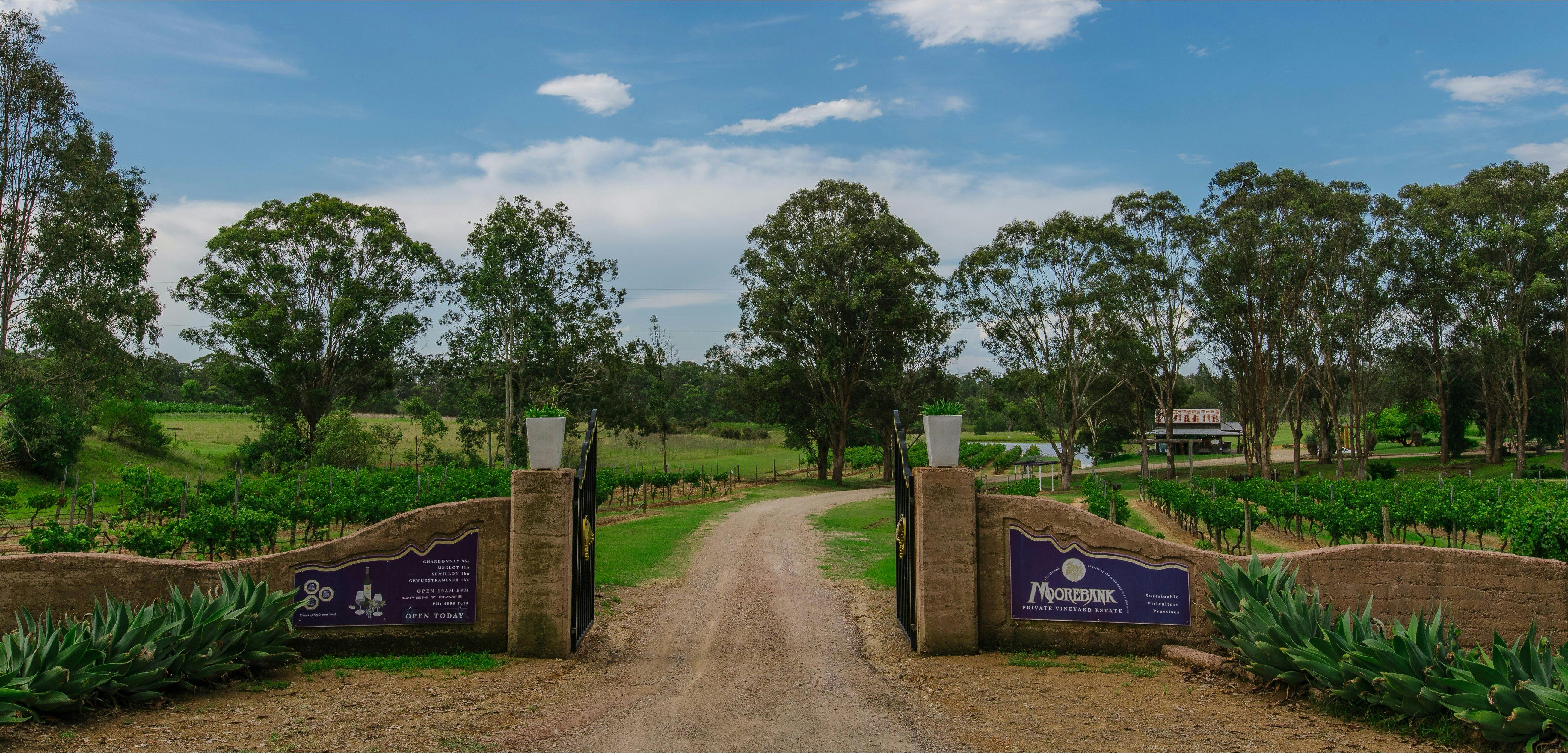 Moorebank Vineyard NSW Holidays & Things to Do
