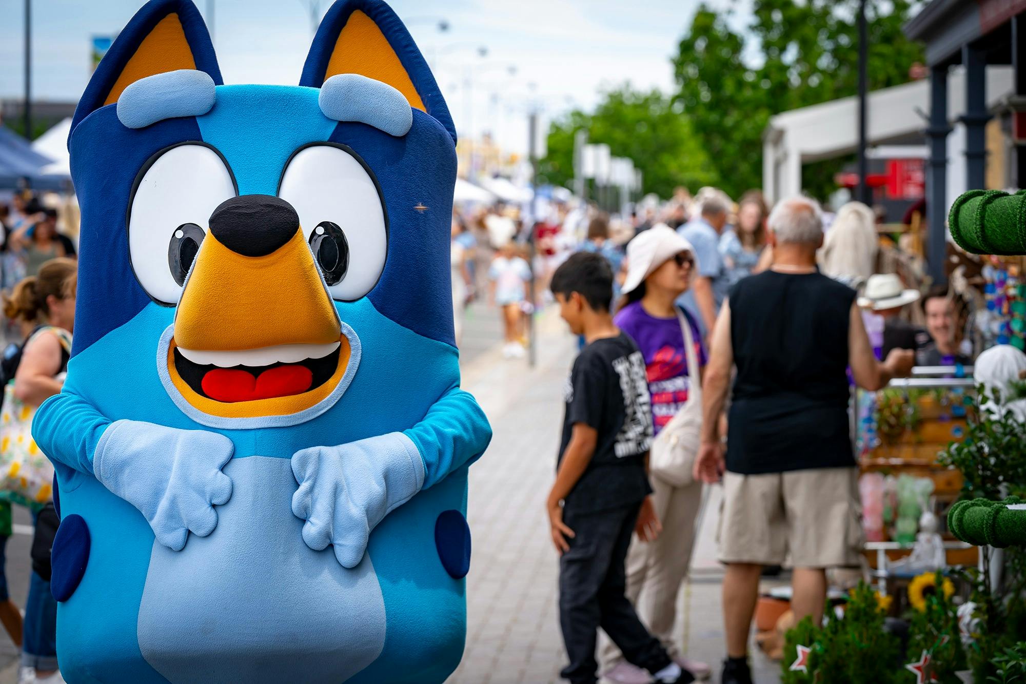 Bluey at the Kate Smith Semaphore Street Fair